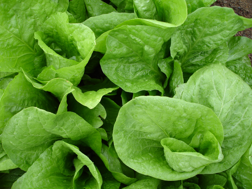 Leafy greens